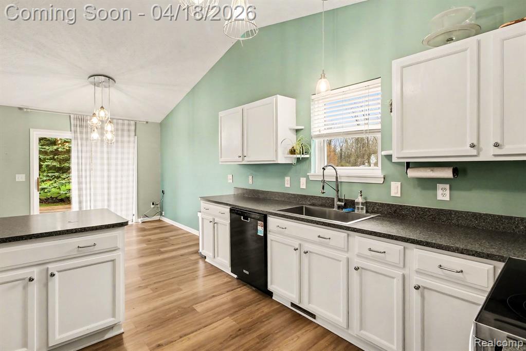 702 Dewars Street, Howell, MI 48843 — Photo 10