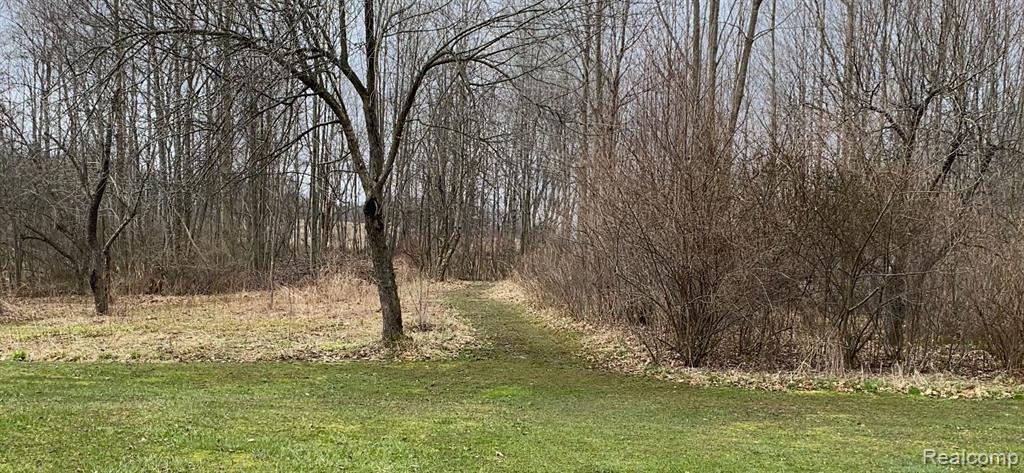 4580 FAMILY Lane, Kingston, MI 48741 — Photo 4