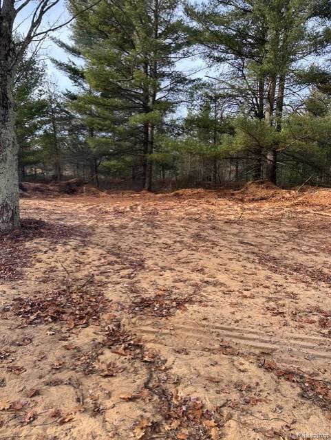 VL W AuSable Point Road, Oscoda, MI 48750 — Photo 16