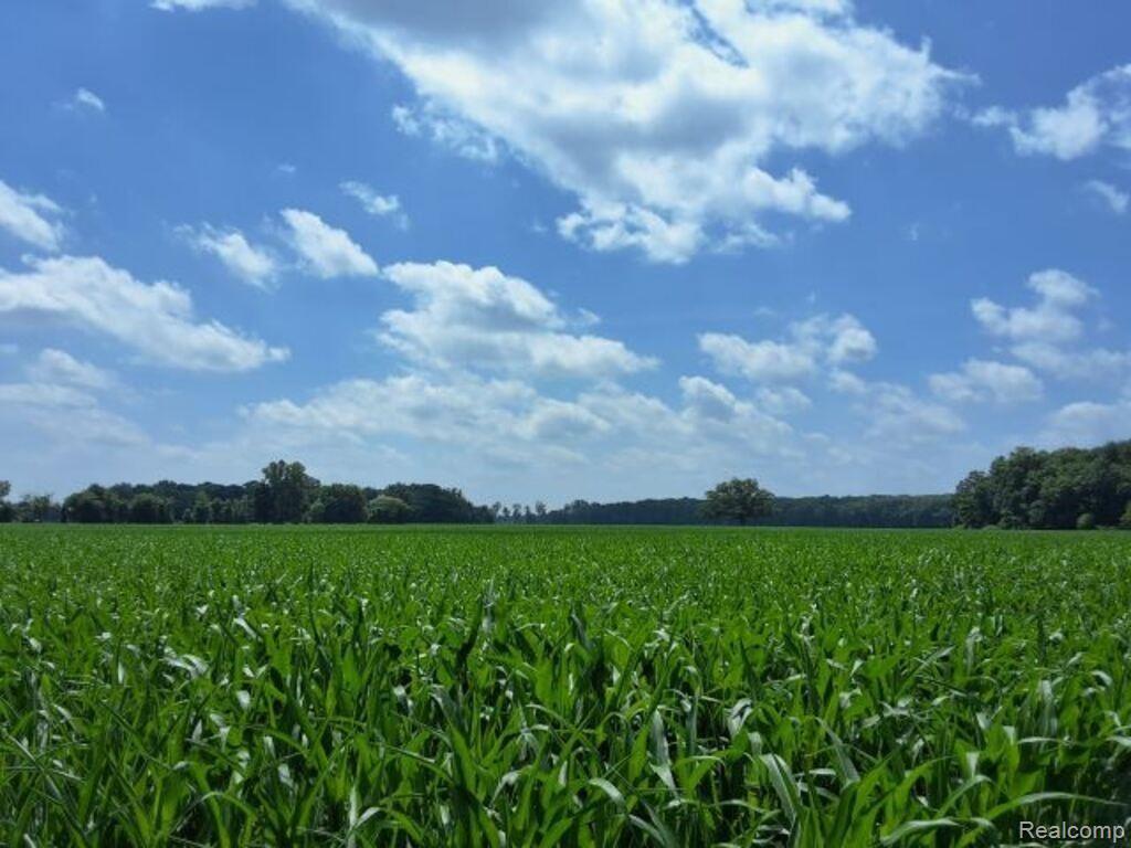 AUCTION Lot # 2 10 acres Dryden Road, Capac, MI 48014 — Photo 3