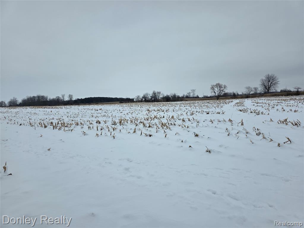 9999 Montgomery, Sanilac, MI 48453 — Photo 2