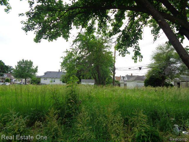 5201 CASMERE Street, Hamtramck, MI 48212 — Photo 4
