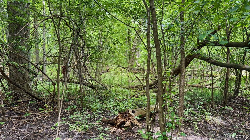 Vacant Lot- Judson Rd-Judson Park Sub, Rochester Hills, MI 48306 — Photo 18