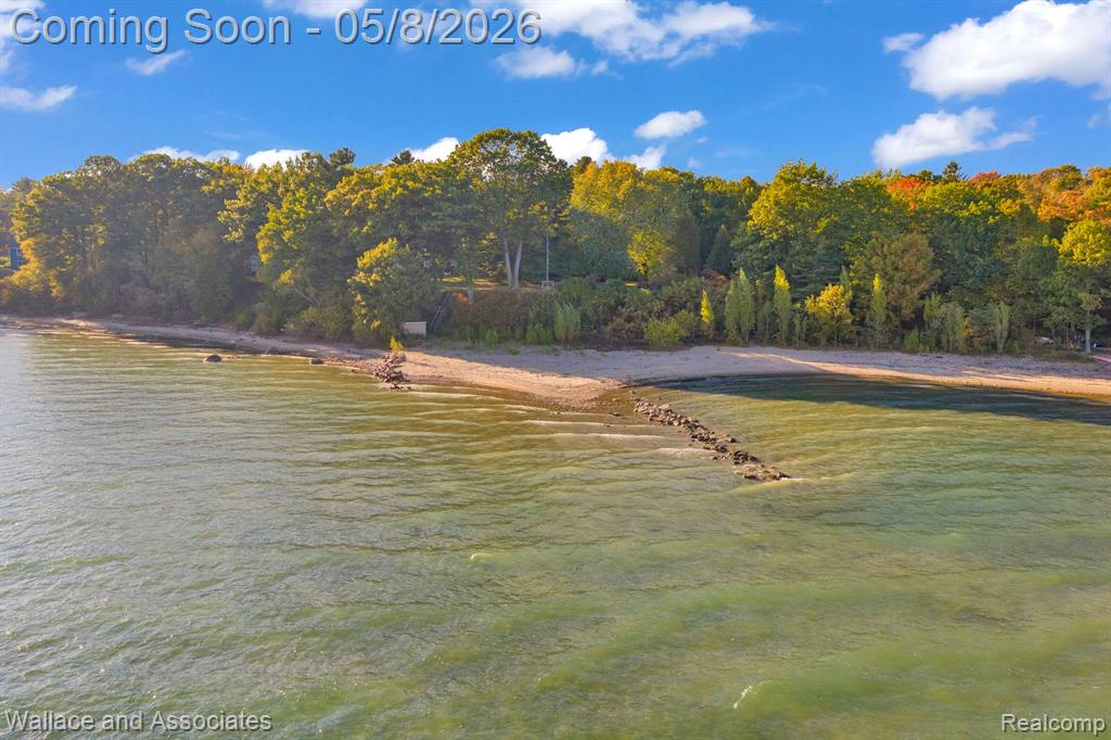 3941 Lakeshore Road, Lexington, MI 48450 — Photo 5