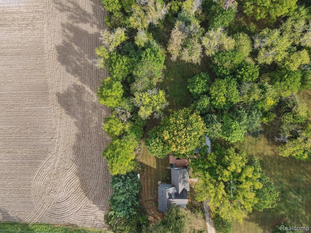 674 Beech Highway, MI 48813 — Photo 5