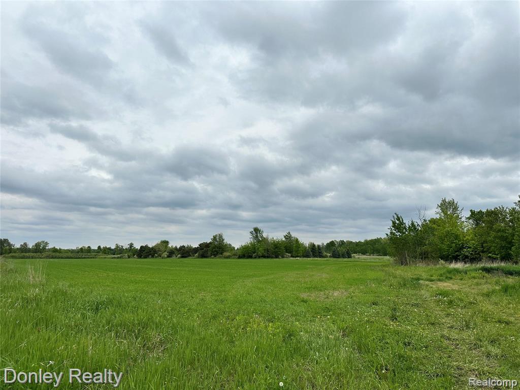 V/L Warner Road, MI 48729 — Photo 7