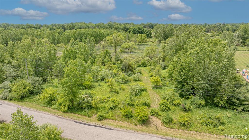 VL Fosland Farms Drive, Jackson, MI 49201 — Photo 3