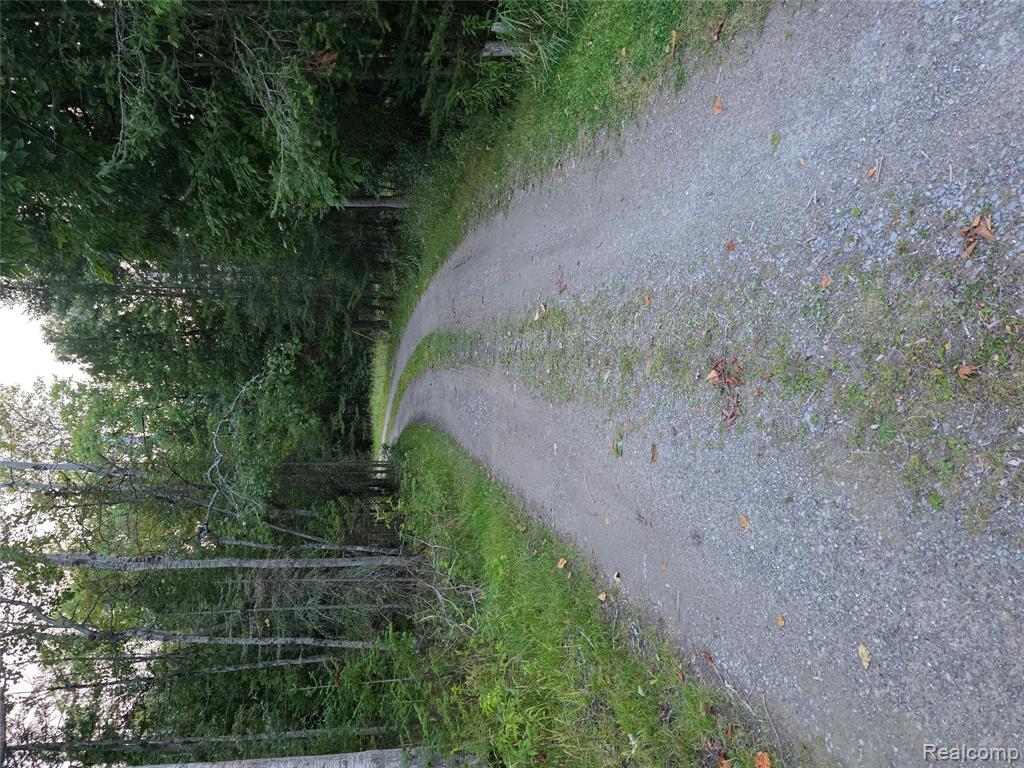 5136 Hardwood Trail, Hubbard Lake, MI 49747 — Photo 2