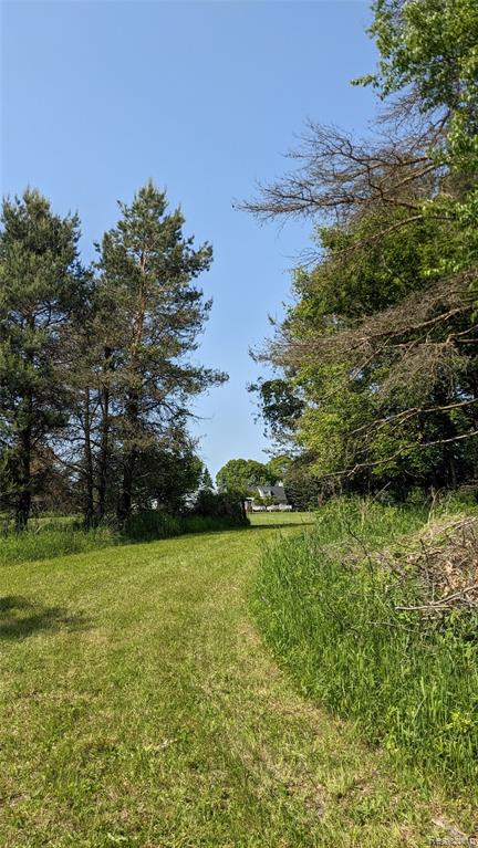 9753 W Coon Lake Road, Webberville, MI 48892 — Photo 62