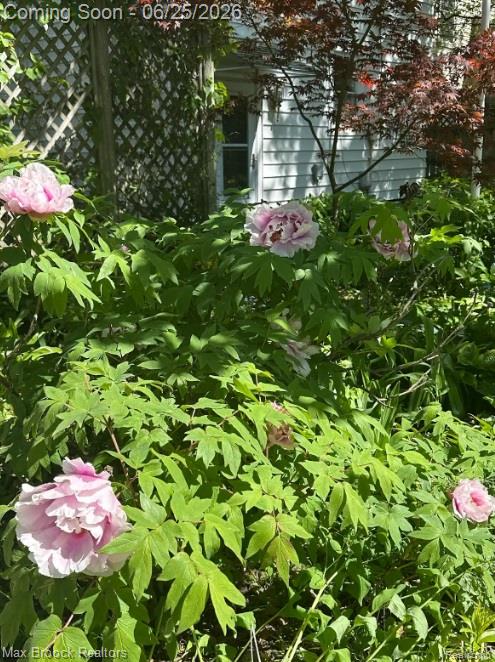 1432 E Park Place, Ann Arbor, MI 48104 — Photo 50