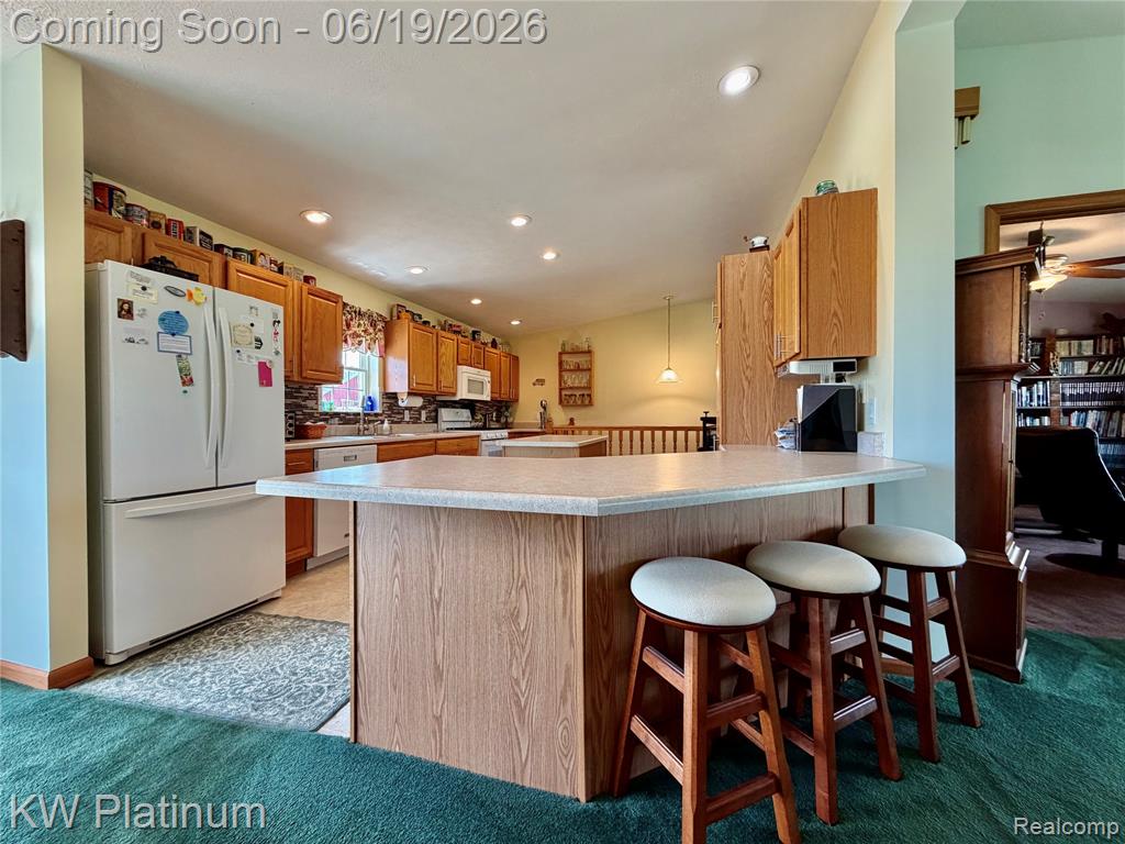 6069 Harris Road, Grant, MI 48032 — Photo 9