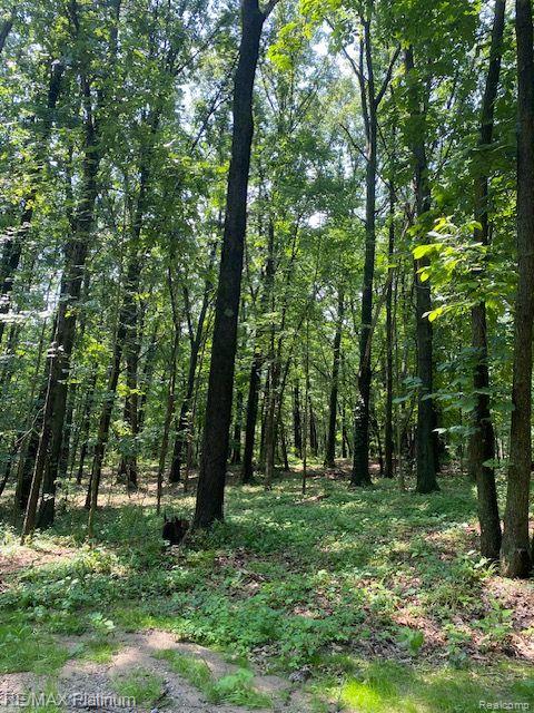 4 Sleaford-Parcel 4 - 32.92 Acres Road, Howell, MI 48843 — Photo 37