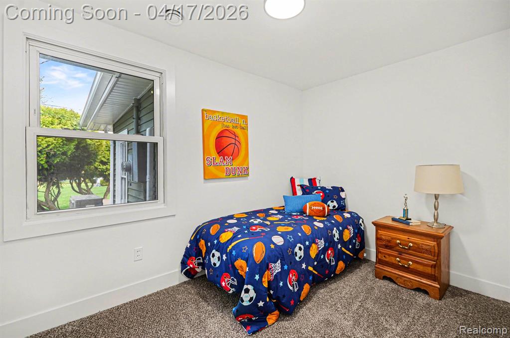 67550 Sisson Street, Washington, MI 48095 — Photo 16
