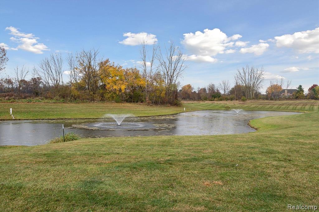 4272 TUPPER LAKE Way, Linden, MI 48451 — Photo 38