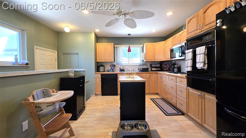 16017 Chestnut Street, Roseville, MI 48066 — Photo 10