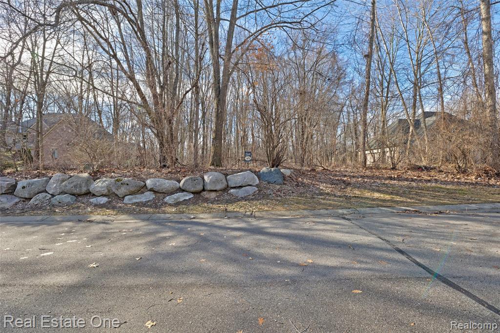 9889 Kingston Ridge, Clarkston, MI 48348 — Photo 18
