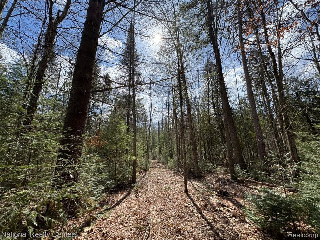 4233 Hardacre Trail, Houghton Lake, MI 48629 — Photo 12