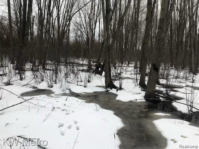 1135 N Baldwin Road, Oxford, MI 48371 — Photo 6