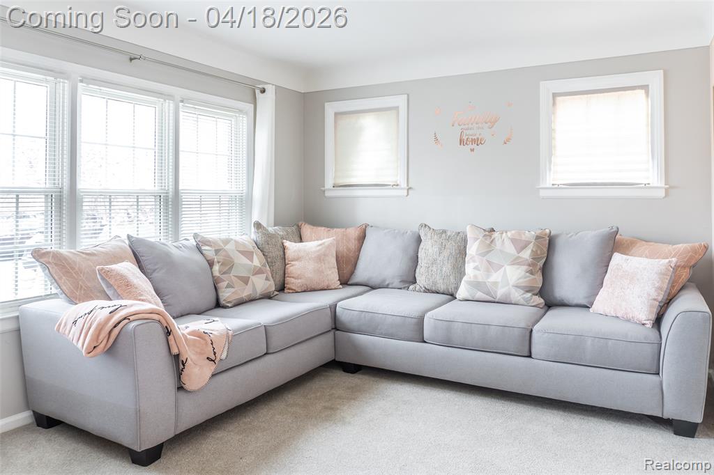 2446 22nd Street, Wyandotte, MI 48192 — Photo 10