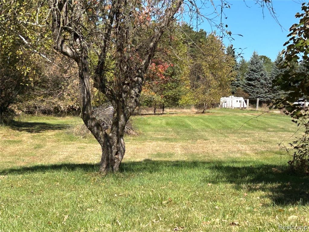 3958 Briggs Road, Otter Lake, MI 48464 — Photo 5