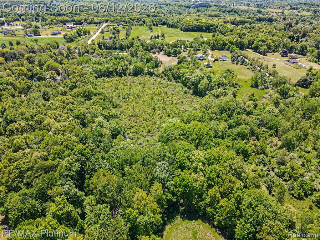 2647 Curdy Road, Howell, MI 48855 — Photo 31