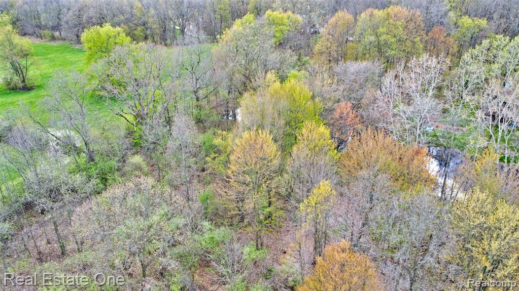 590 Judi Ann Lane, Holly, MI 48442 — Photo 9