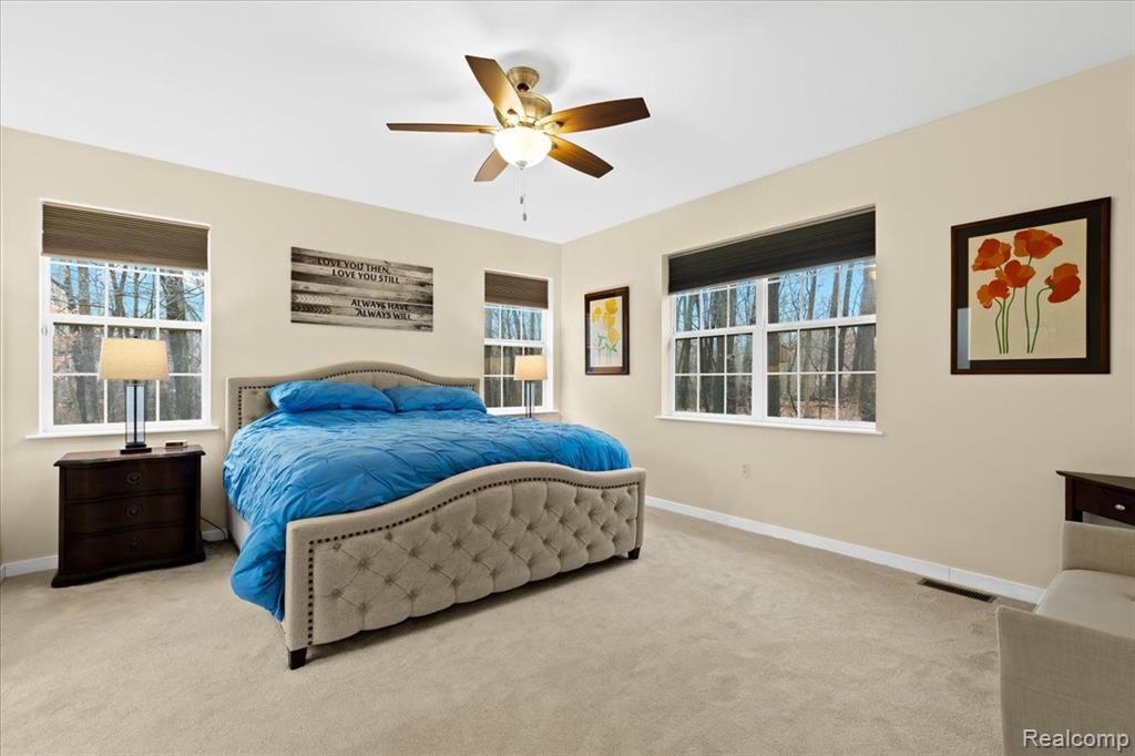 4377 BOOTJACK Trail, Howell, MI 48843 — Photo 13