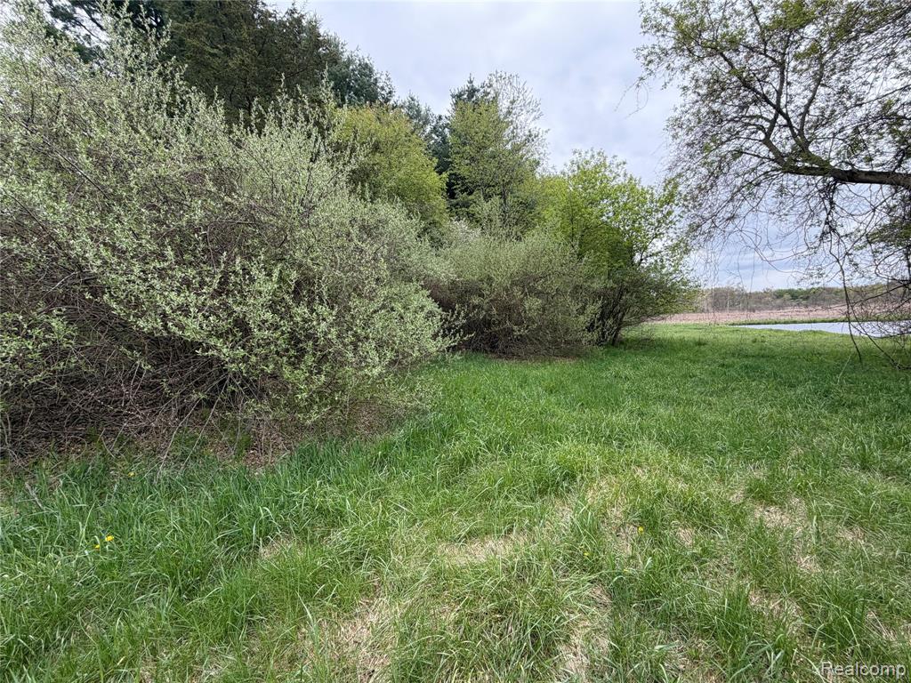8079 Farley Road, Pinckney, MI 48169 — Photo 37