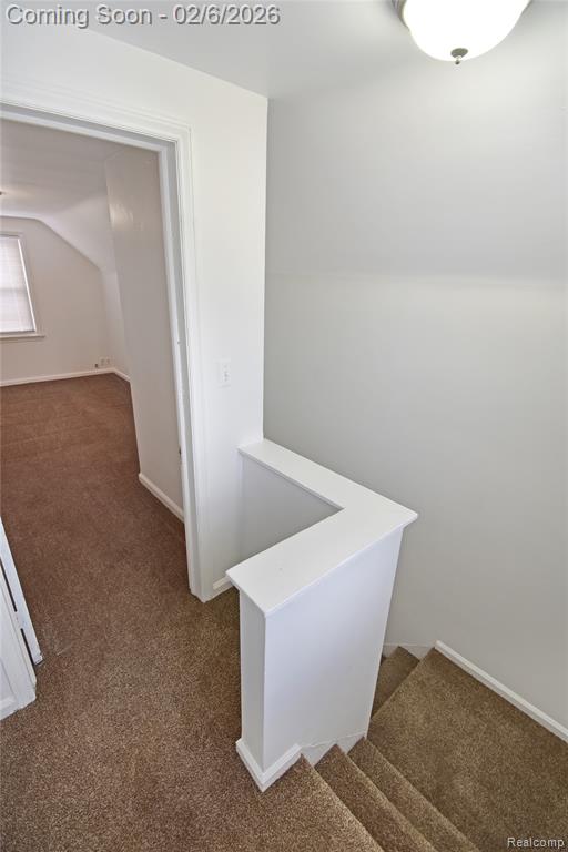 8305 Stephens, Center Line, MI 48015 — Photo 12