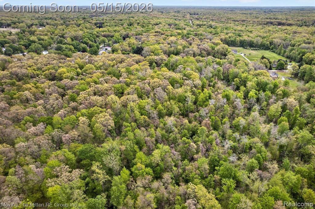 22530 Bohn Road, Belleville, MI 48111 — Photo 18