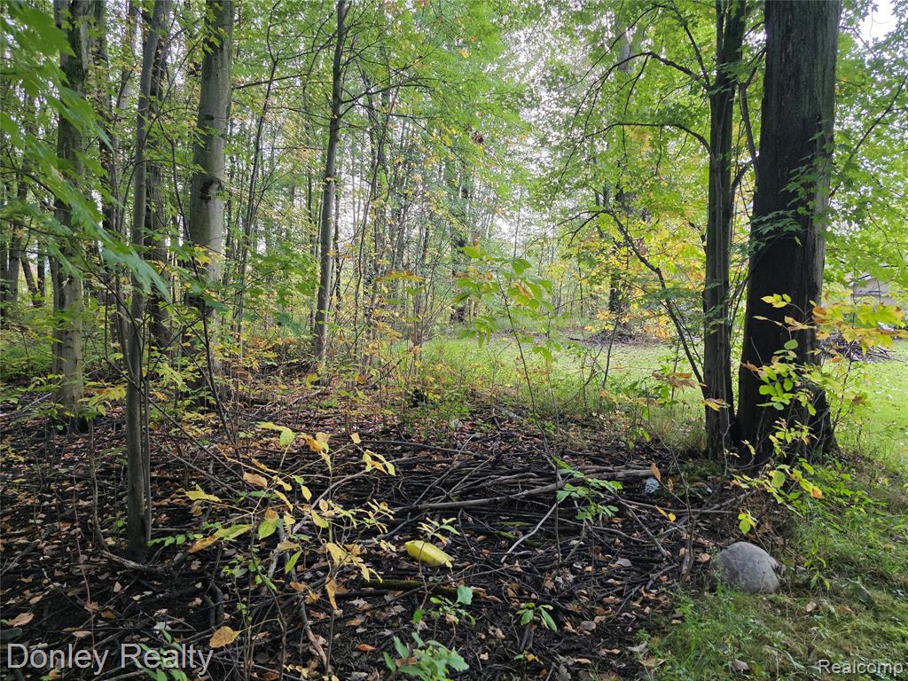 5690 Van Dyke Road, Cass City, MI 48726 — Photo 4