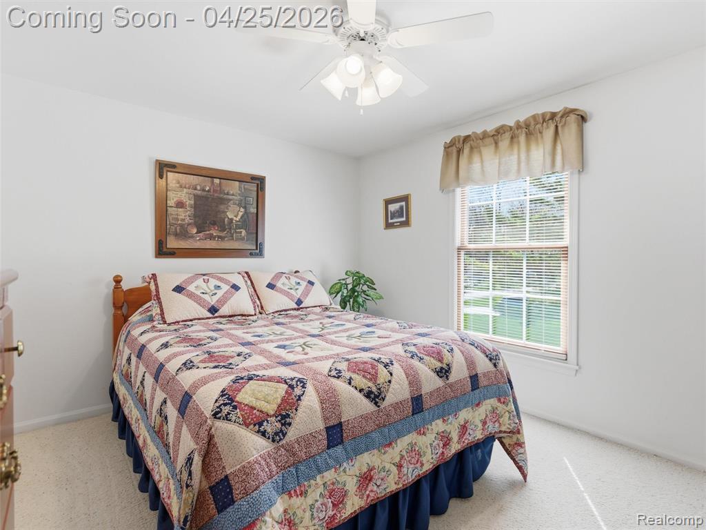 39001 Chartier Street, Harrison Township, MI — Photo 36