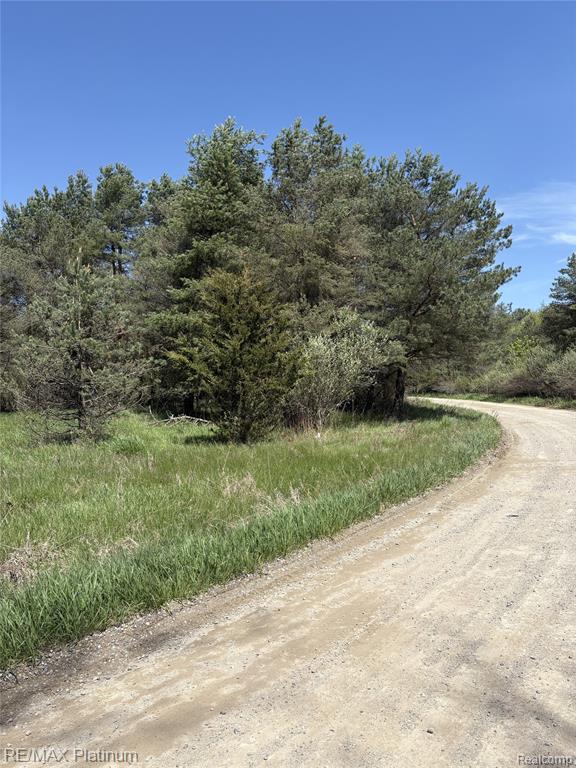 Parcel 2 Pineway Trail, Howell, MI 48855 — Photo 5