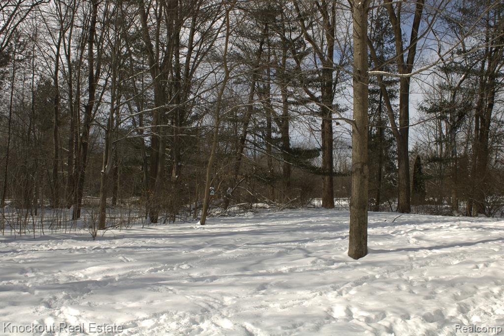 7553 BRAY Road, Vassar, MI 48768 — Photo 63