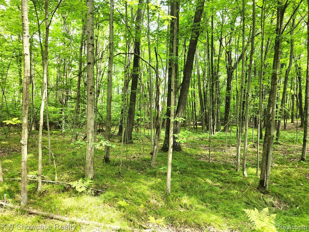 000 Red Fox Run, Lincoln, MI 48622