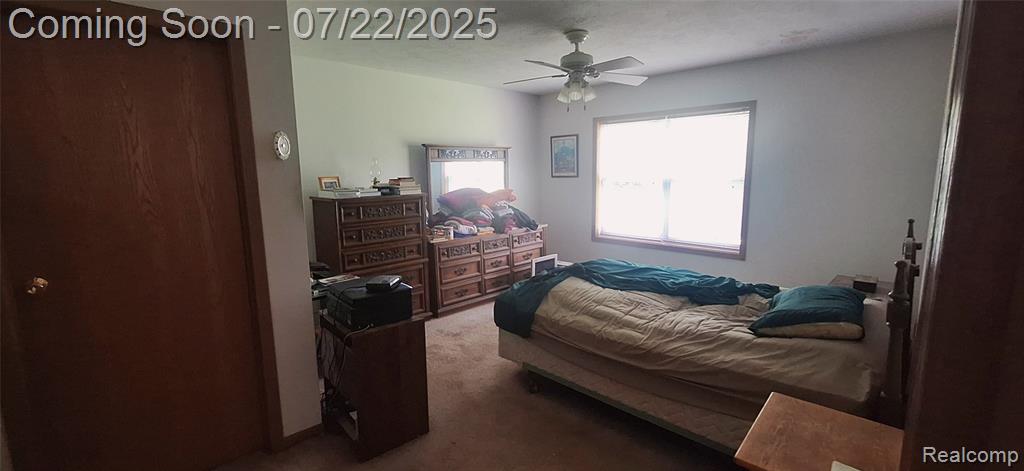 370 W Barnes Road, Fostoria, MI 48435 — Photo 8