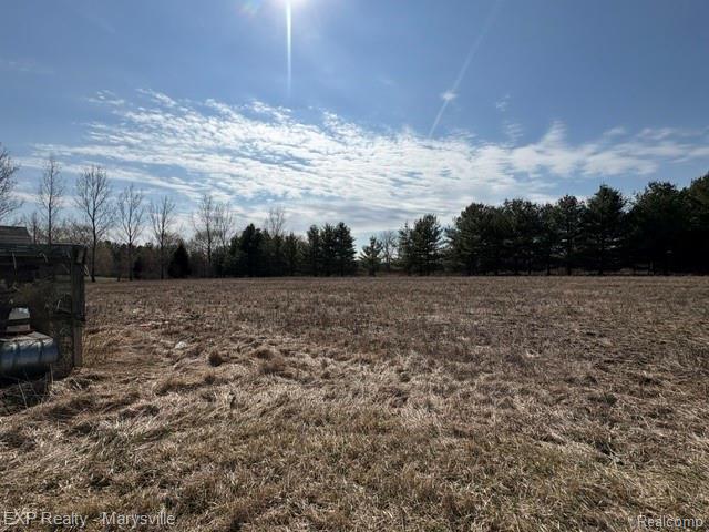 6919 Emmett Road, Brockway, MI 48097 — Photo 5
