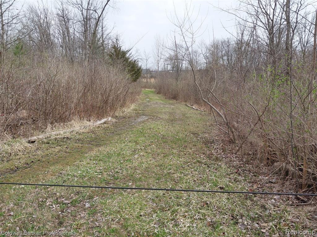 VL Rattle Run Road, St. Clair, MI 48079 — Photo 7
