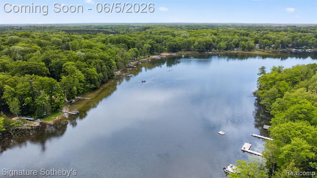 5084 N Birch Avenue, Fountain, MI 49410 — Photo 95