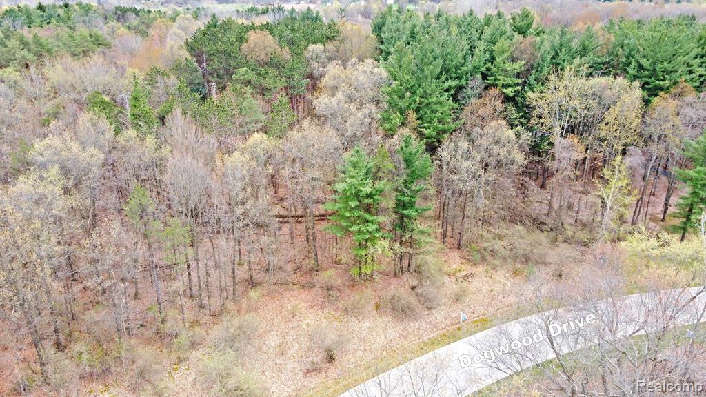 502 BLUEBIRD Trail, Ortonville, MI 48462 — Photo 15