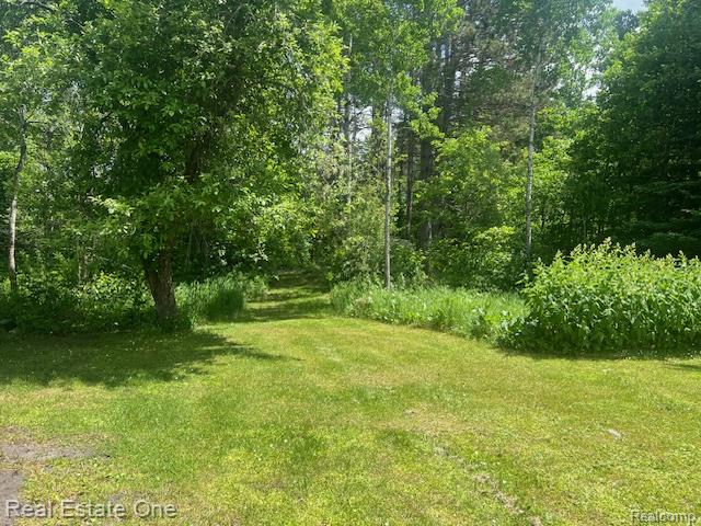 10264 State Highway M123, Newberry, MI 49868 — Photo 54