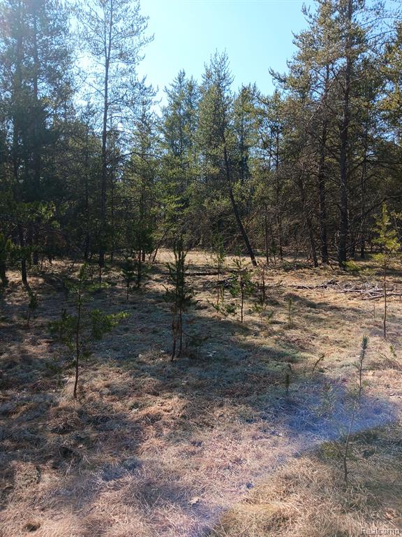 0000 Cedar Creek Road, Wellston, MI, 49689