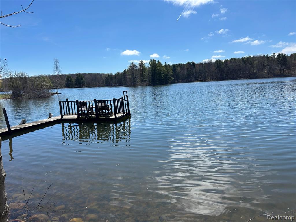 3805 Lee Hill Road, Mayville Vlg, MI 48744 — Photo 4