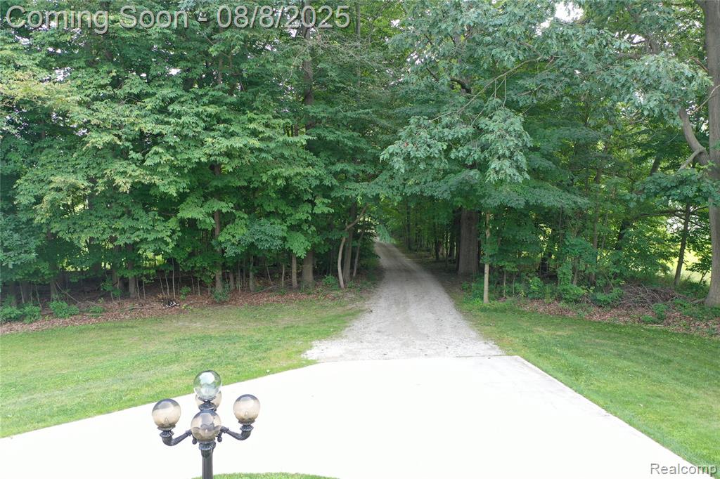 2784 S Blacks Corners Road, Imlay City, MI 48444 — Photo 69