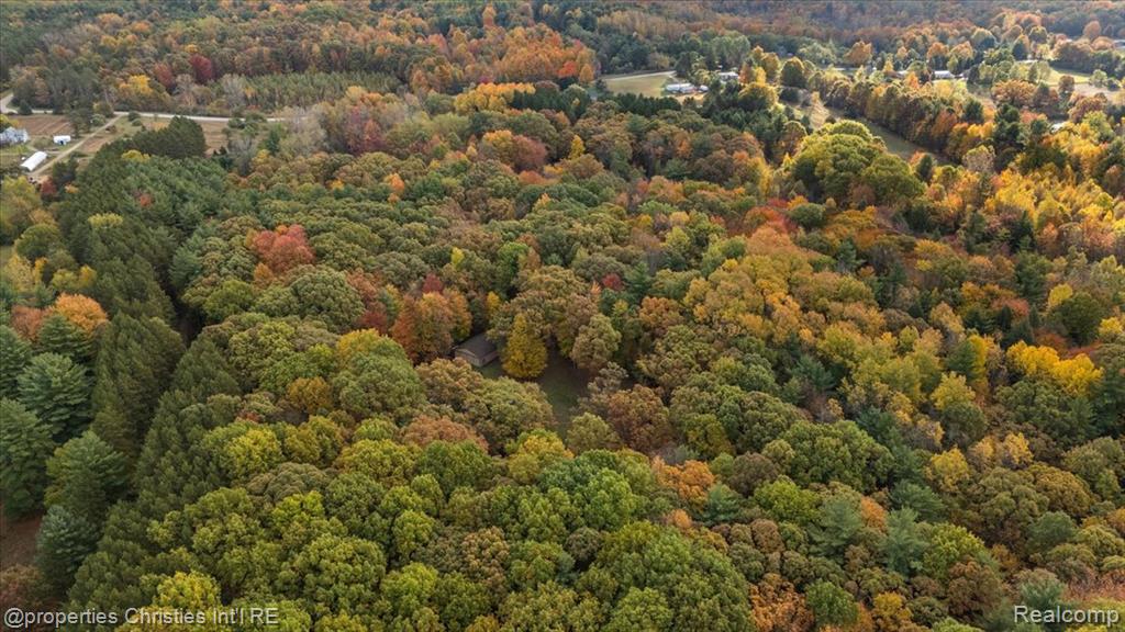 4121 Country Road, Otter Lake, MI 48464 — Photo 28