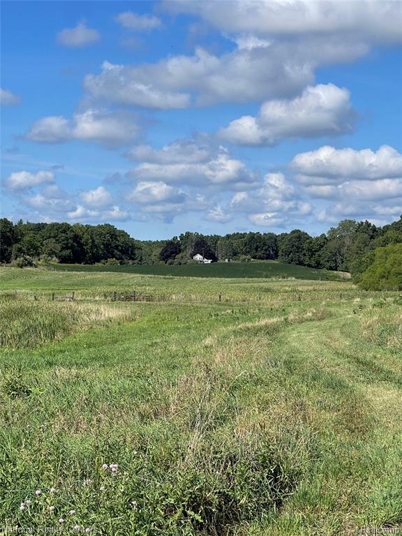 1050 W Vicary Rd. Road, Liberty, MI 49233 — Photo 25