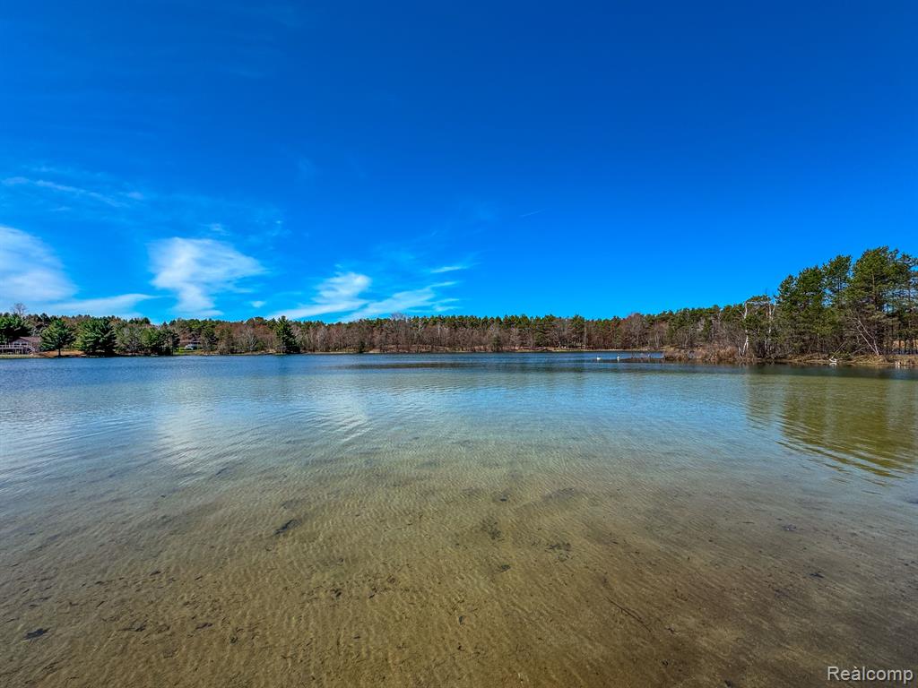 153 TIPPI Trail, Buckley, MI 49620 — Photo 3