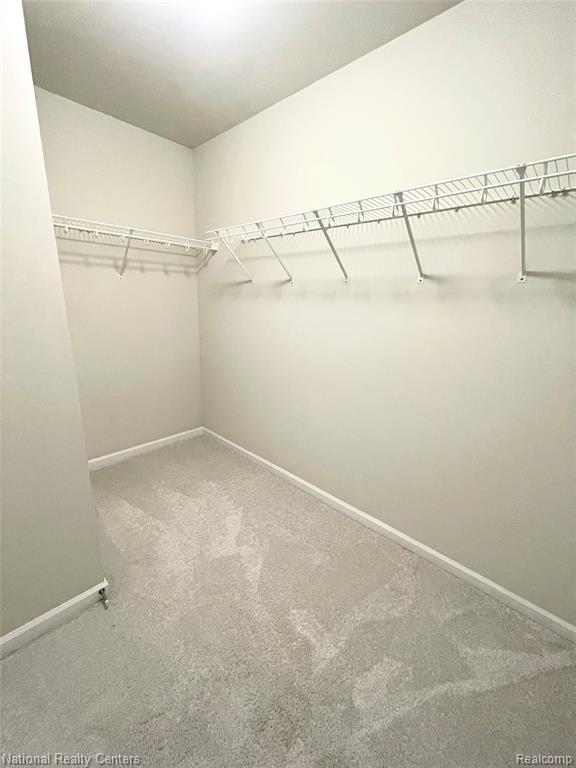 2835 Dillon Drive, Ann Arbor, MI 48105 — Photo 19