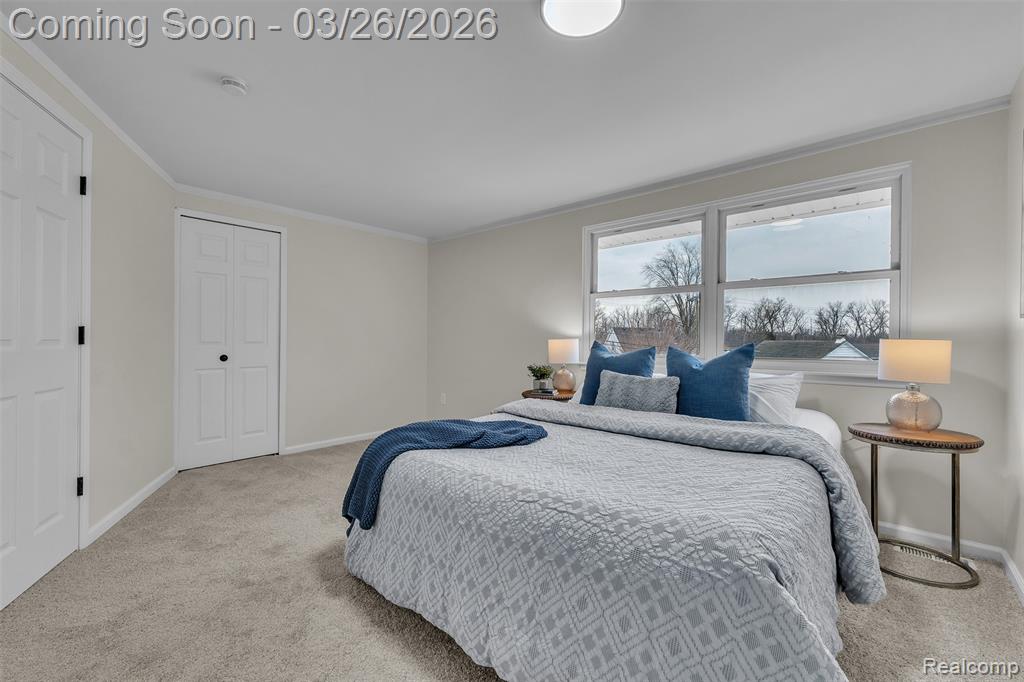 20051 Churchill Avenue, Brownstown, MI 48183 — Photo 42