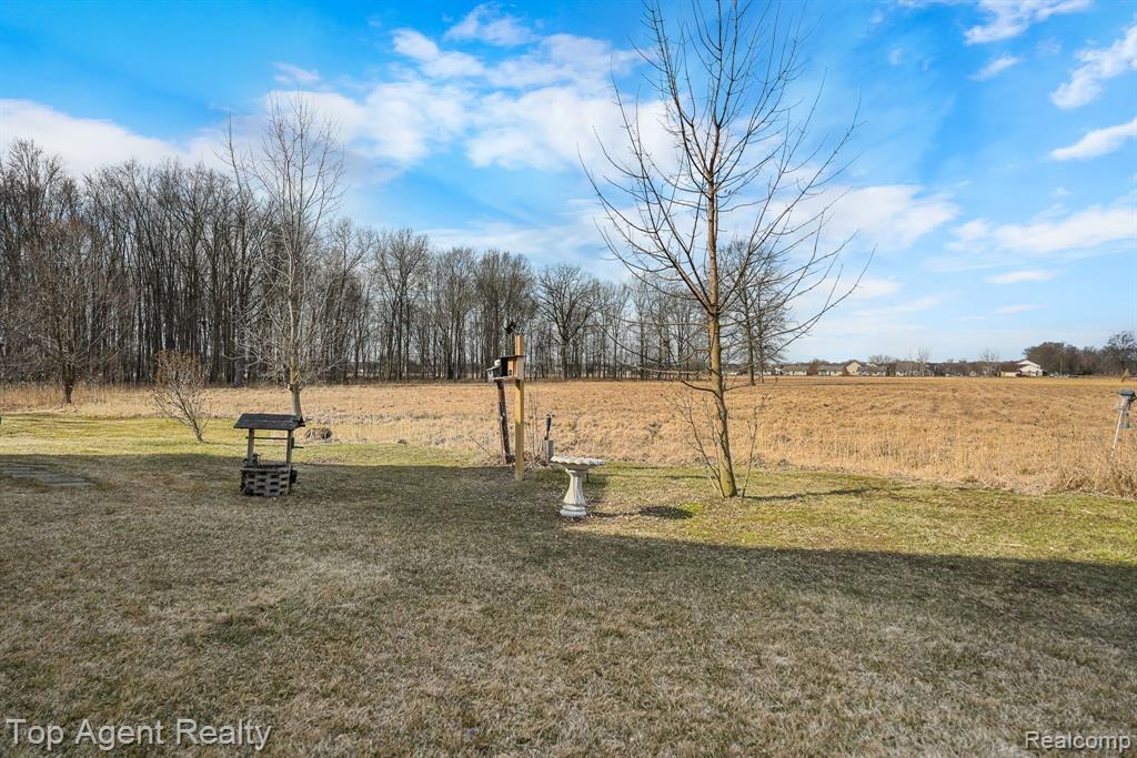 53501 MARY ANN Lane, New Baltimore, MI 48047 — Photo 37